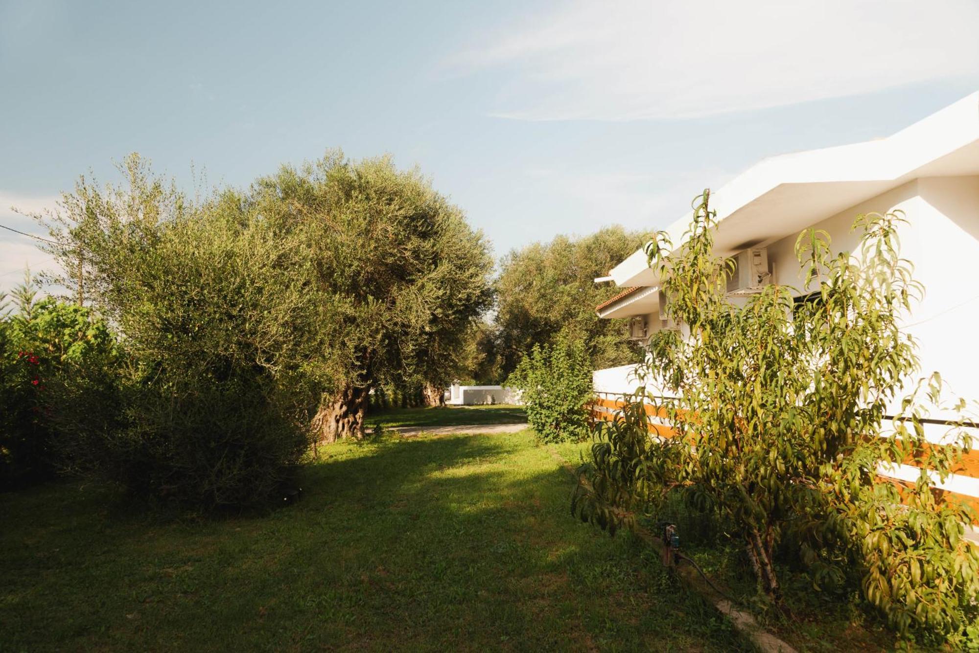 Olive Grove Suites Boutique Hotel Мораитика Экстерьер фото